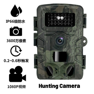 Forestry Surveillan Induction Infrared Dual Camera