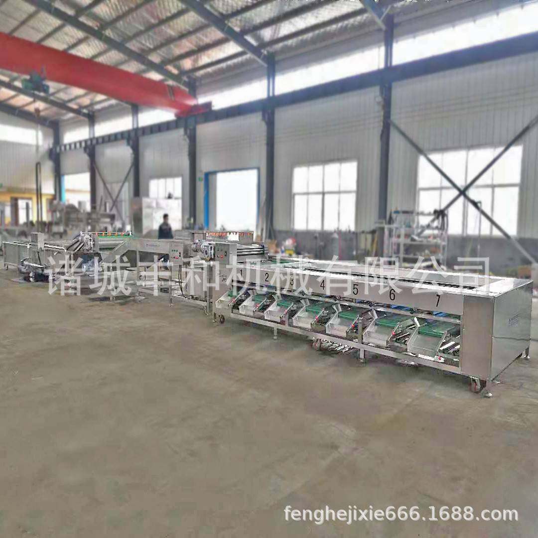 果蔬分选机圣女果分选设备荔枝清洗分级机杨梅不伤果滚杠分级机