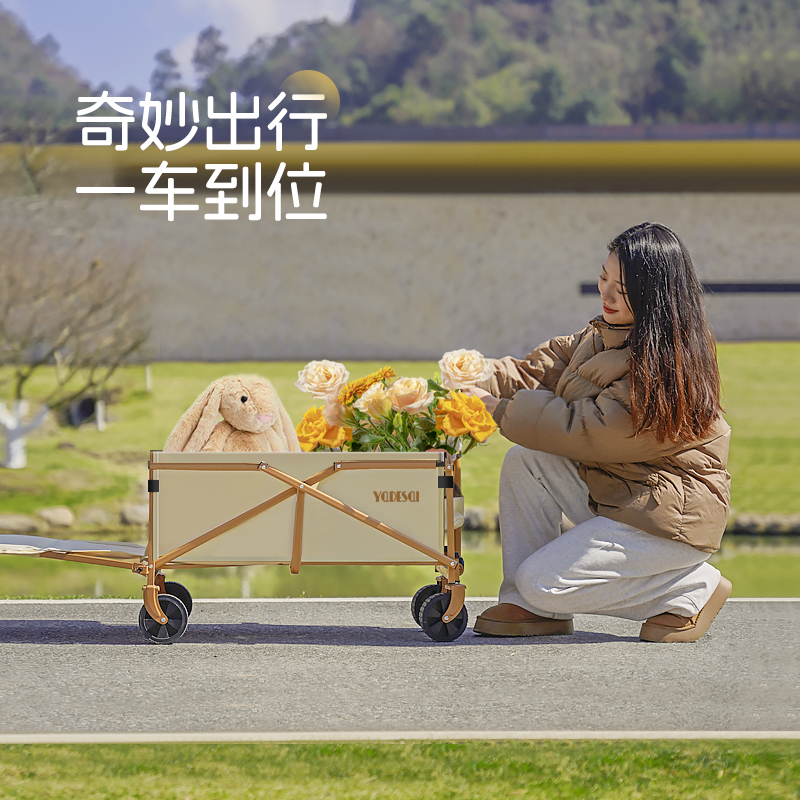 亚得赛购物车加长拖斗