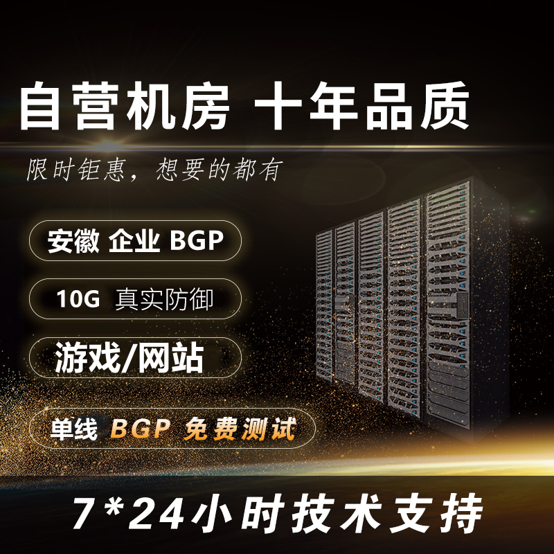 安徽稳定企业独享大宽带网站游戏微端测试云主机物理服务器出租用