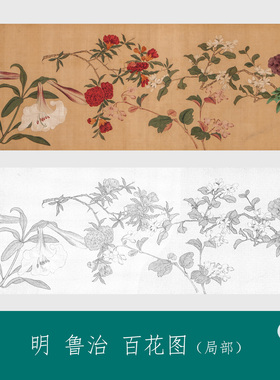 明鲁治百花图卷古画花卉长卷