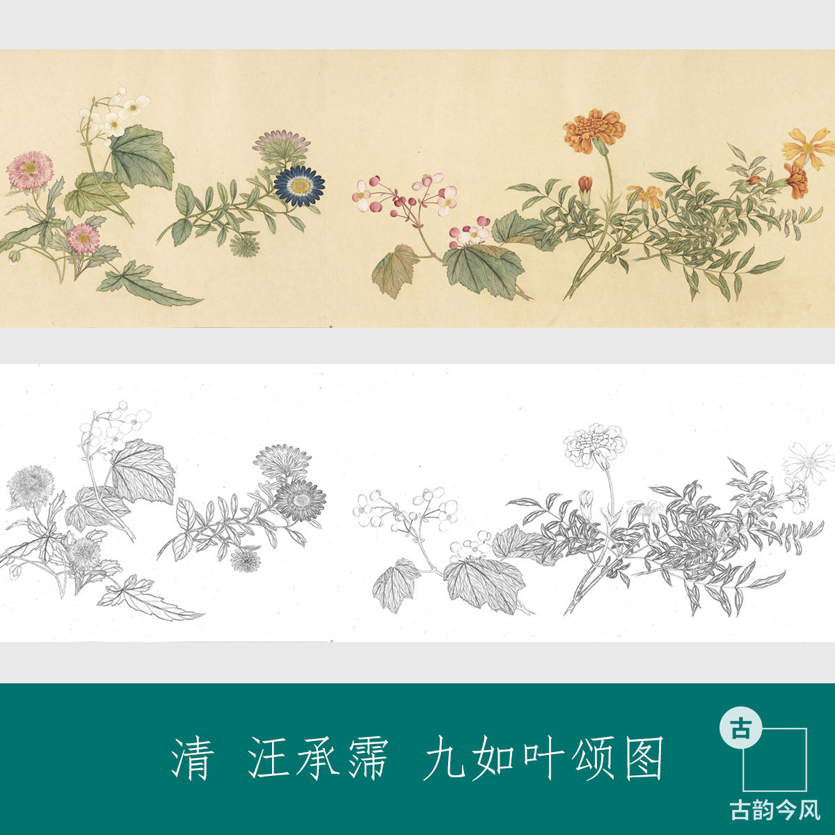 清汪承霈九如叶颂图线描稿艺术微喷复制品国画临摹底稿学习画稿