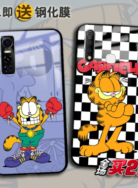 CARFIELD加菲猫适用vivoS19 18 s16 s12pro任意机型IQOOZ9 z8X Z7定制nex3 Y17 y52s Y35+ y10手机硬壳T2 t1x