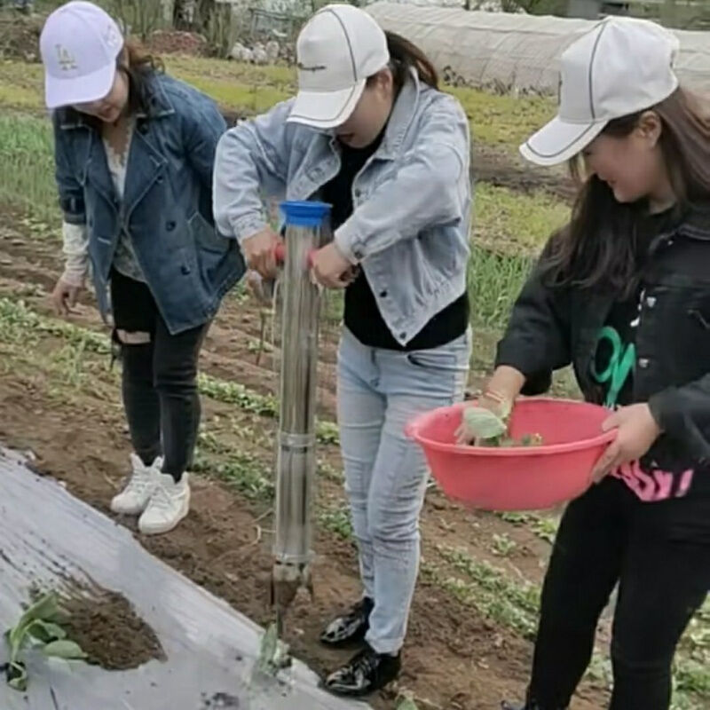 栽苗播种神器栽苗器大棚用品农用工具蔬菜种菜种辣椒烟苗插苗播种