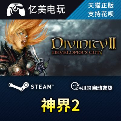 PC正版 steam游戏 神界2 Divinity II: Developer's Cut 国区礼物