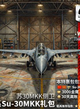 War thunder 战争雷霆 中系 Su30MKK 苏30 侧卫 礼包