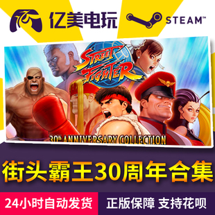 30th steam Fighter Street Anniversary 街头霸王30周年纪念合集