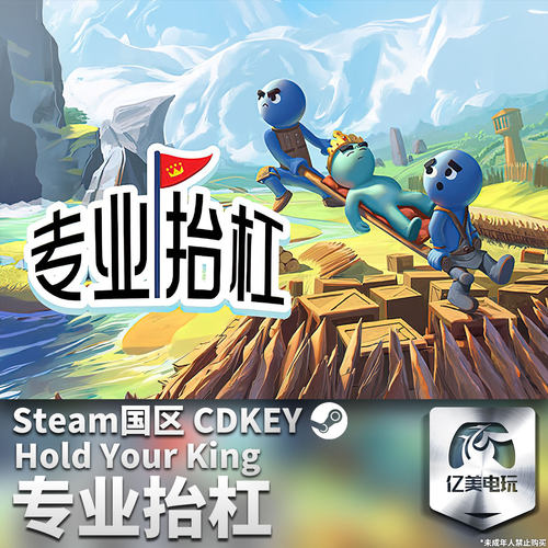 Steam 正版 PC 游戏 专业抬杠 国区激活码 CDKEY
