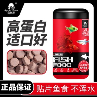 乌贼家贴片饲料天使孔雀鱼小型观赏鱼专用鱼粮热带灯科鱼通用鱼食