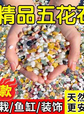 天然彩石鱼缸专用铺底砂多肉盆栽铺面石子五彩石头雨花石原石底砂