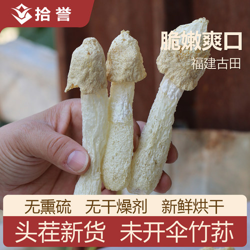 Z露思直播展示未开伞竹荪蛋