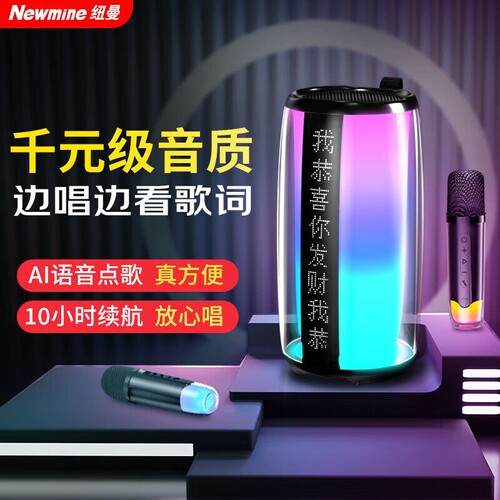 纽曼户外唱歌音响带无线话筒一体