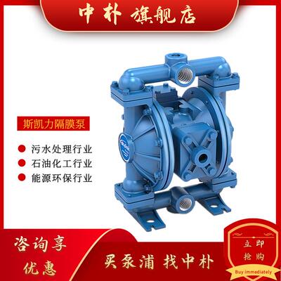 新款斯凯力气动隔膜泵LS25K AA-AA-T/S-TT-TT-00 1寸污水泵SP包邮