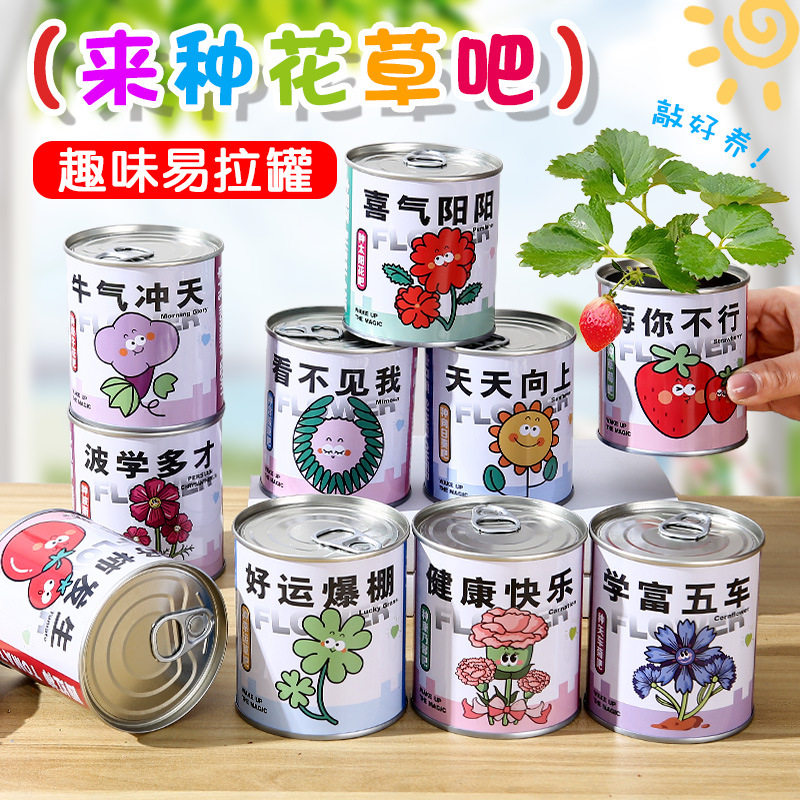 六一儿童节小礼物桌面小盆栽