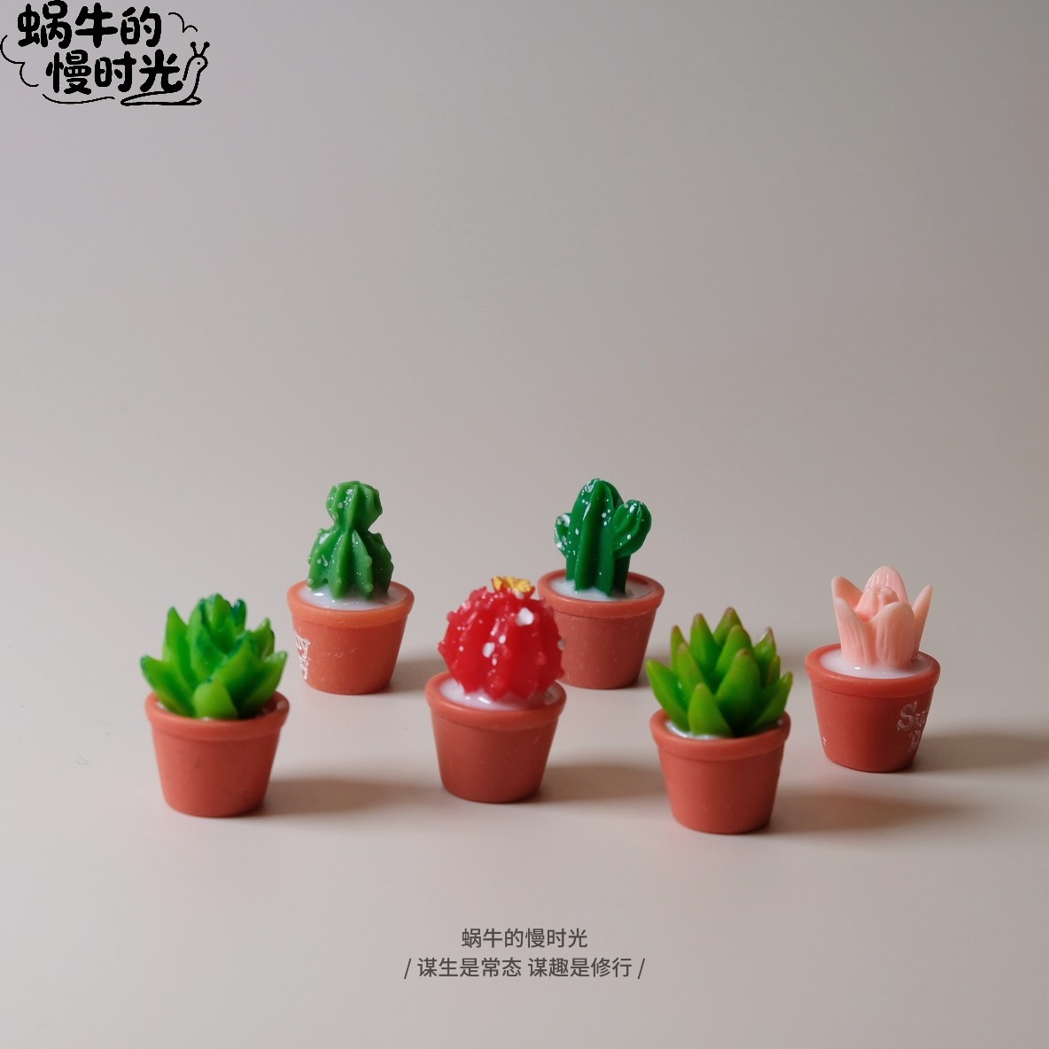 多肉小摆件 迷你桌面装饰品 创装饰摆件