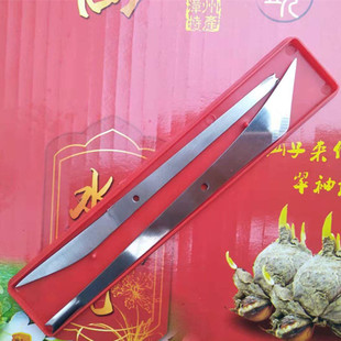 雕刻水仙花专用刀锋钢嫁接专用刀不锈钢带凹槽雕刻水仙花种球两用