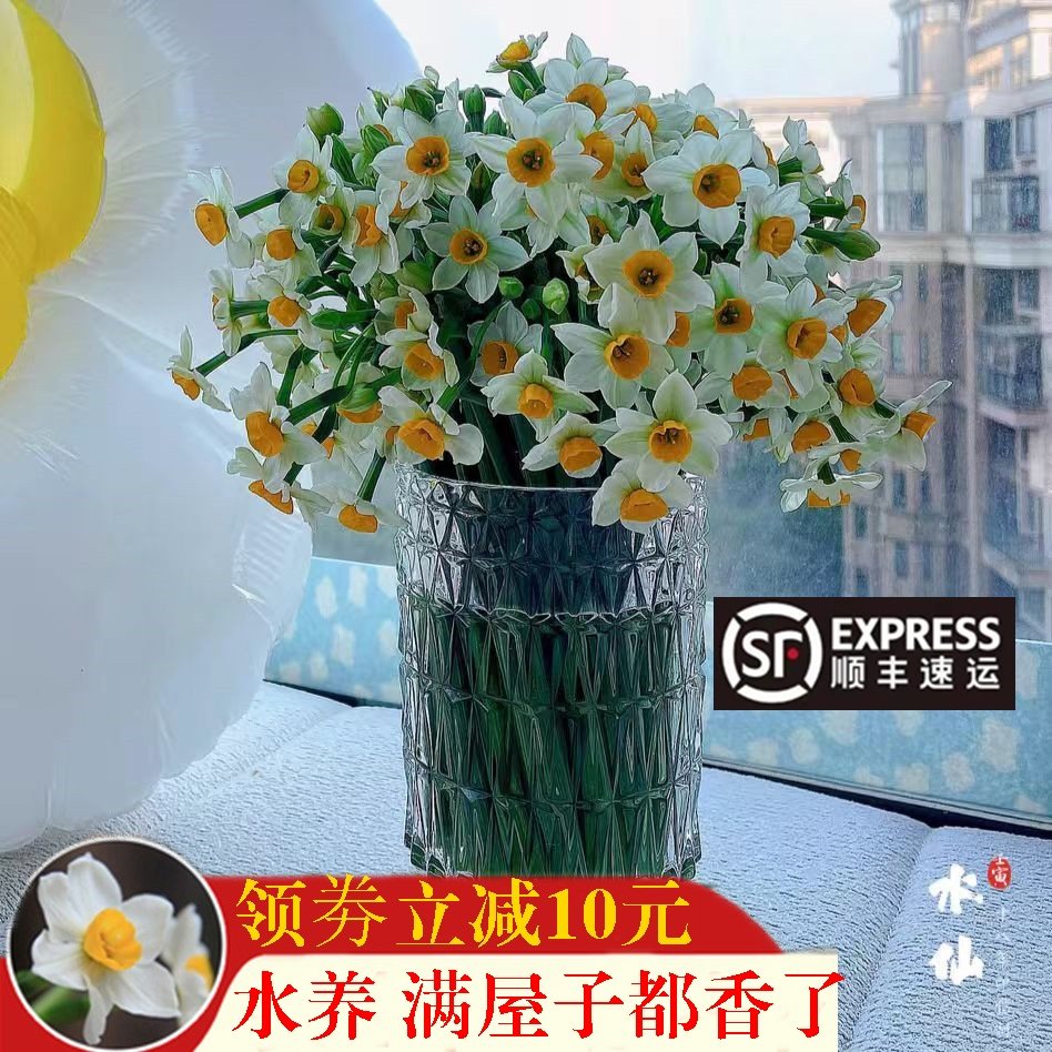 水仙花鲜切花漳州产地农田现摘鲜花速递顺丰室内花卉包邮