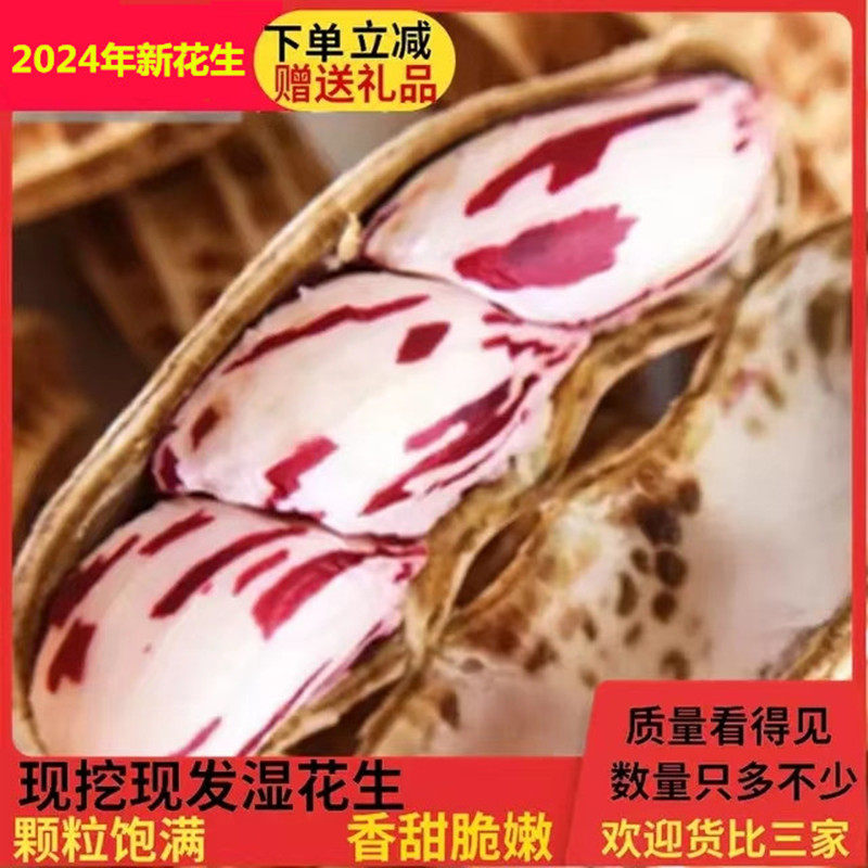 24云南五彩生花生新鲜七彩花生自然带壳农家原味野地种植现挖现发