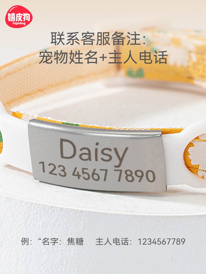 猫咪项圈狗狗脖圈刻字猫牌防丢失宠物脖饰项链小猫装饰品围脖幼猫