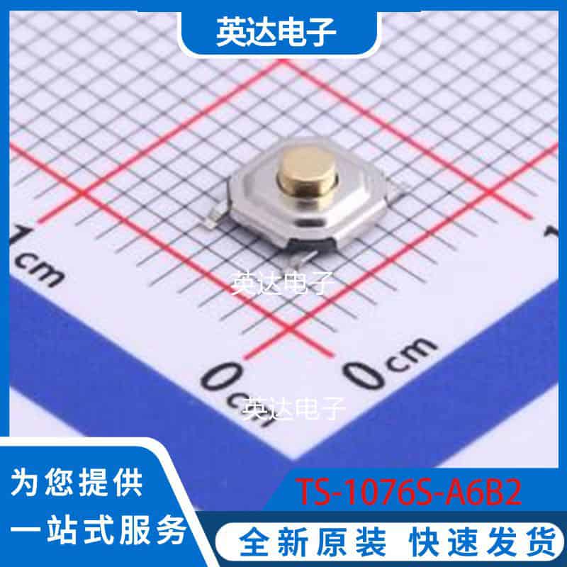 TS-1076S-A6B2 SMD 原装正品