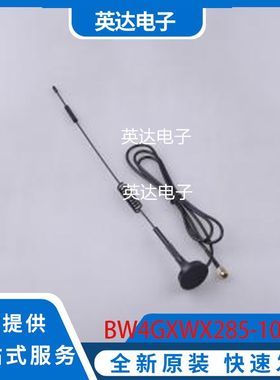 BW4GXWX285-10L1000J 原装正品 -
