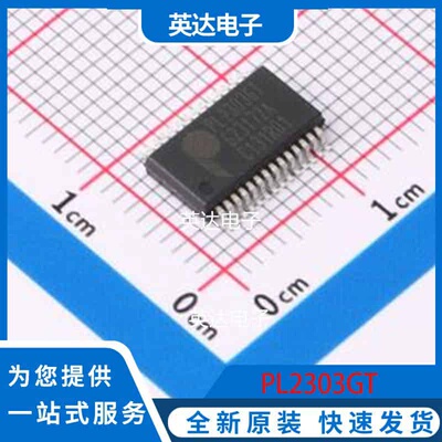 PL2303GT SSOP-28-208mil 原装正品