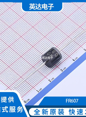 FR607 原装正品 R-6