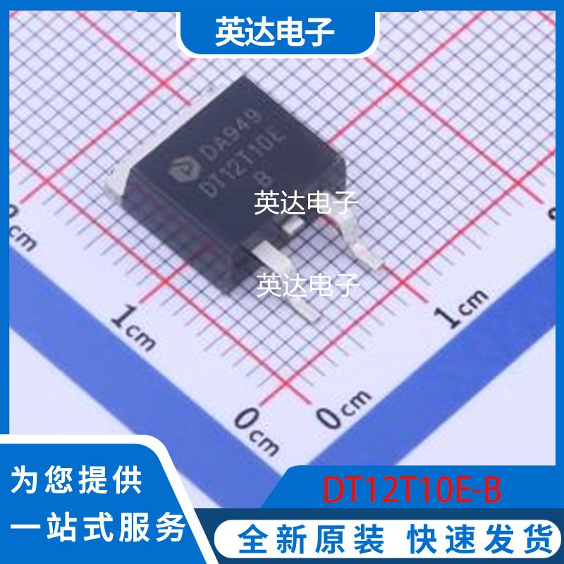 DT12T10E-B 原装正品 TO-263-2