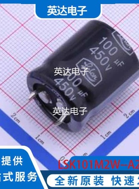 LSK101M2W--A2225 原装正品 插件,D22xL25mm