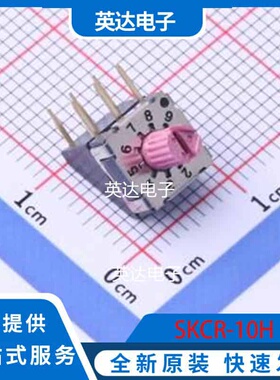 SKCR-10H 插件 原装正品