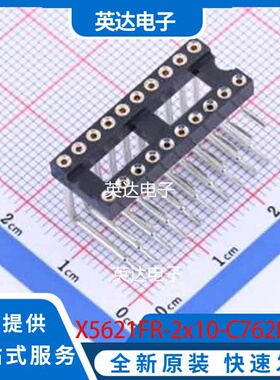 X5621FR-2x10-C762D32-2500 DIP-20 原装正品