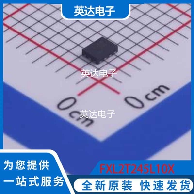 FXL2T245L10X 原装正品 MicroPak-10