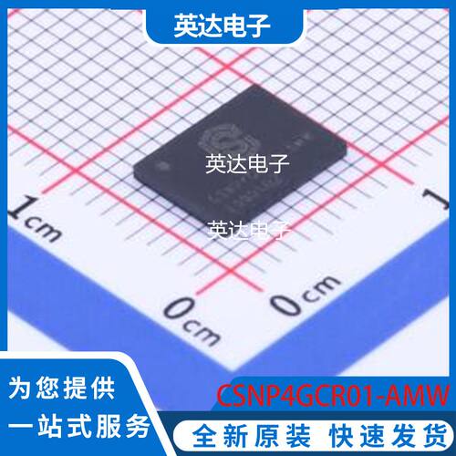 CSNP4GCR01-AMW 原装正品 LGA-8(6x8)