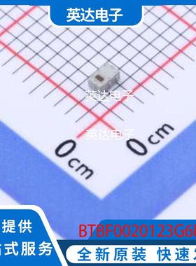 BTBF0020123G6H6A10 原装正品 0805