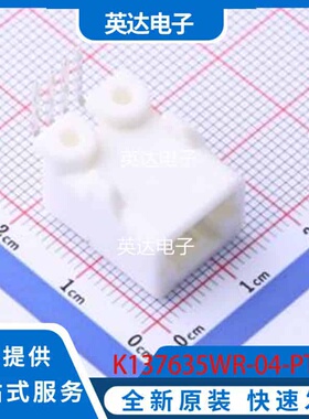 K137635WR-04-PTSNW 原装正品 -