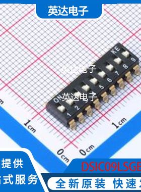 DSIC09LSGET 原装正品 SMD-24P,20x9.3mm
