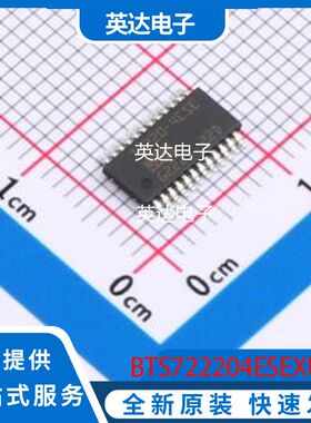 BTS722204ESEXUMA1 原装正品 TSSOP-24-150mil