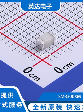 SMB300XM 原装正品 1206