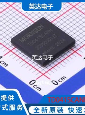 TD041SCANH DFN-16(10x10) 原装正品