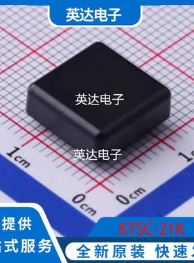 KTSC-21K 原装正品 0