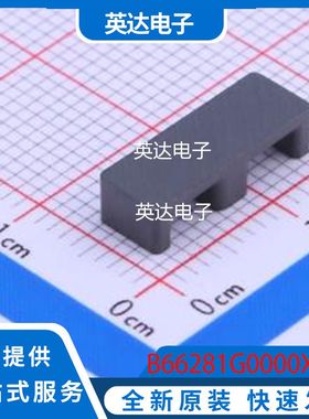 B66281G0000X608 原装正品 0