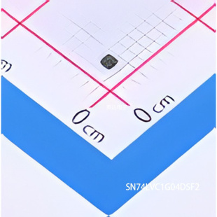 SN74LVC1G04DSF2 原装正品 SON-6(1x1)