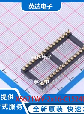 X5621WV-2x16-C1524D1196-1196 DIP-32 原装正品