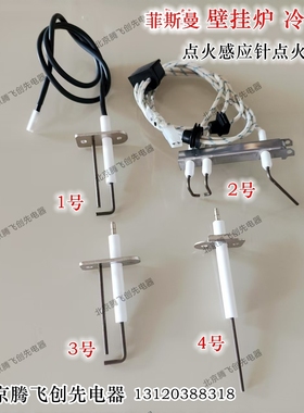 适用于菲斯曼德国WBIC WBIB采暖壁挂炉炉冷凝点火针感应针配件
