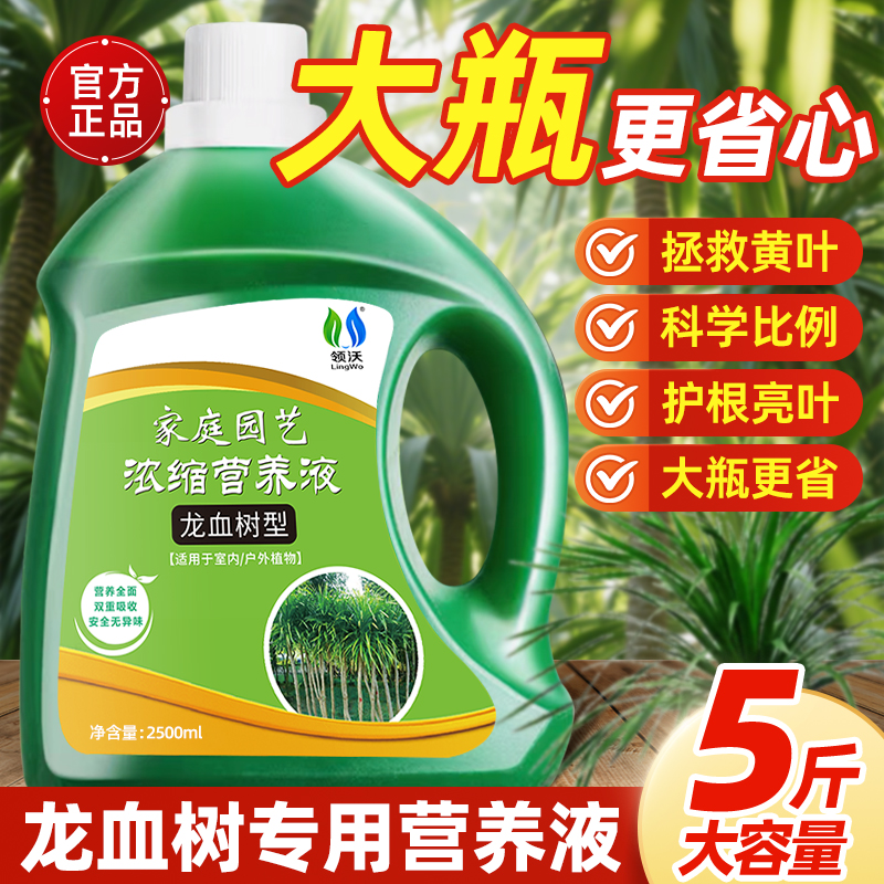 龙血树专用营养液室内阳台植物肥