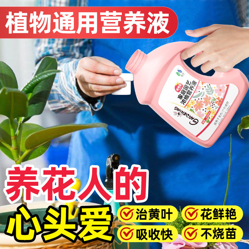植物营养液花卉通用型水培室内盆栽发财树专用绿植富贵竹绿萝肥料,鲜花速递/花卉仿真/绿植园艺,家庭园艺肥料,淘宝优惠券,粉丝福利购,淘宝优惠卷