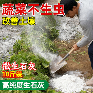 生石灰粉10斤种菜专用正宗白灰粉家用菜地消毒防潮吸霉刷树干燥剂