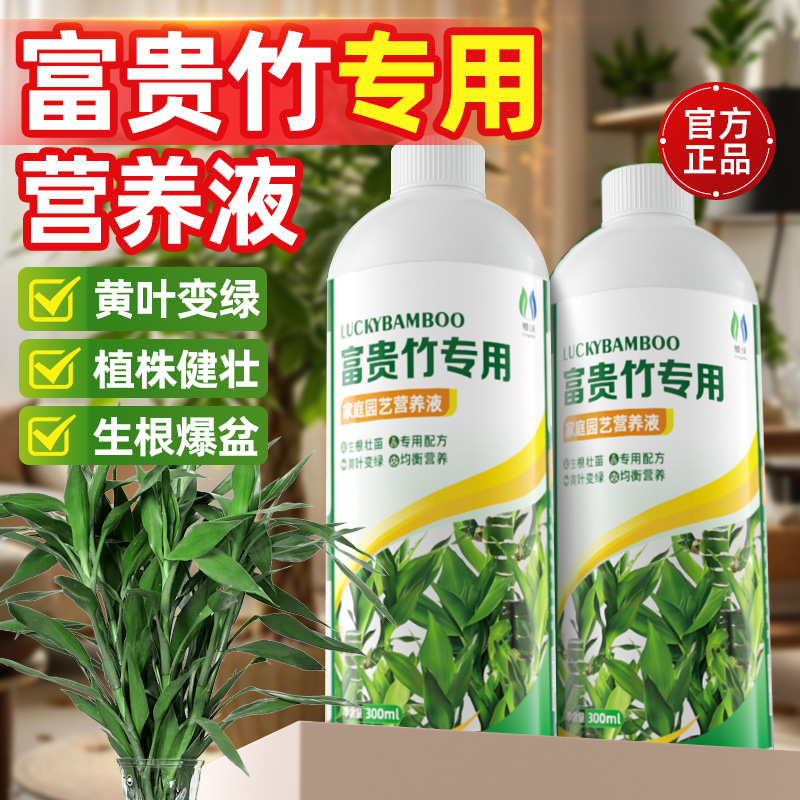 富贵竹专用营养液治黄叶植物通用