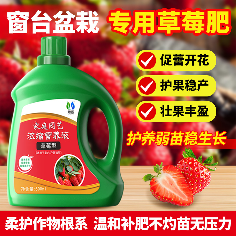 草莓专用肥营养液植物液体肥料肥