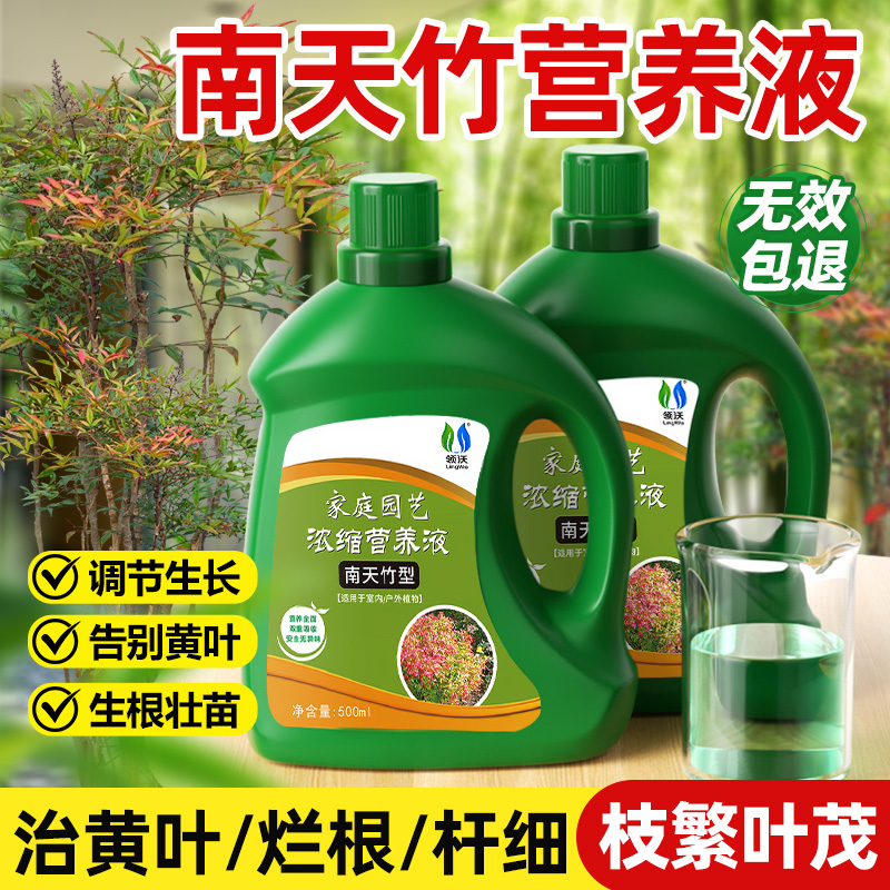 领沃南天竹营养液可促开花防烂根